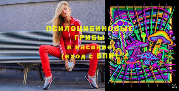СК Абинск
