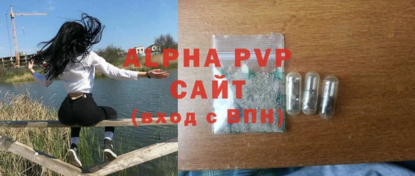 МДПВ Пересвет