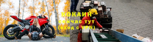 СК Абинск
